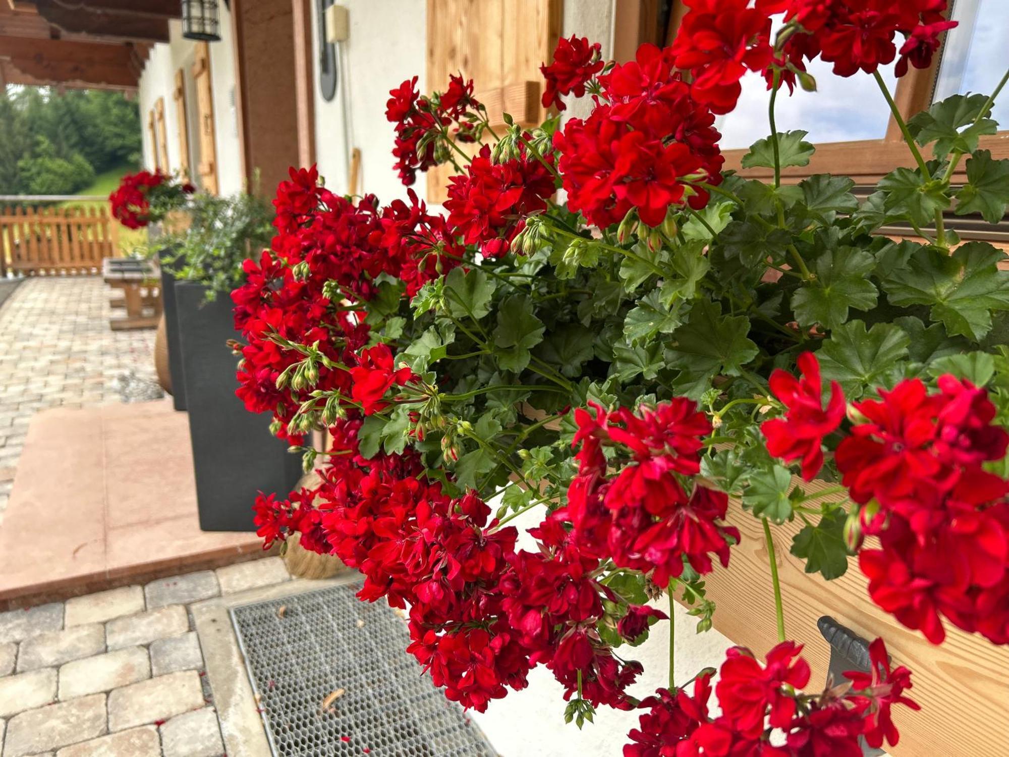 Auf'M Feggenlehen Hotel Ramsau bei Berchtesgaden Bagian luar foto